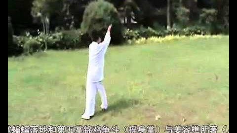 Jiang Style BaGuaZhang