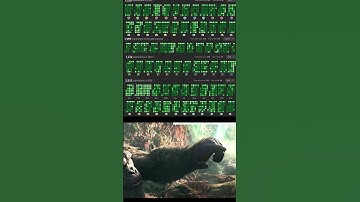 Watch till the end😨 #competitiveprogramming #codeprep  #leetcode #problemsolving