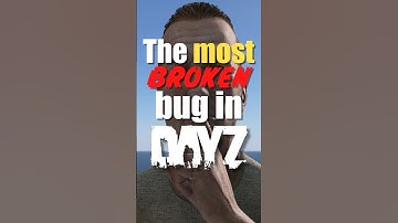 The most broken bug in DayZ.