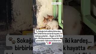 Şu Hissiyat A Bakın Nasilda Birbirlere Sariliyorlar