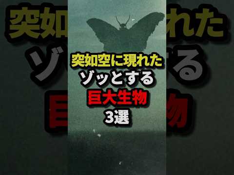 突如空に現れたゾッとする巨大生物3選 #都市伝説 #ホラー #雑学