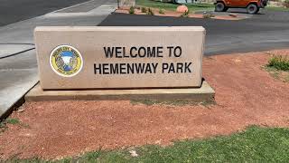 Big Horn Sheep At Hemenway Park Boulder City, NV