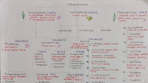 Bentham and hooker classification bsc 2nd year