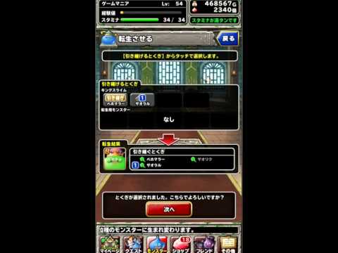 Dqmslキングスライムの活かし方を検証する Q Movie Com Dqmslキングスライムの活かし方を検証する Q Movie Com