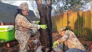 Mom & Daughter: Wild Boar Cleaning Session #hog #trapping #hunting #wildlife