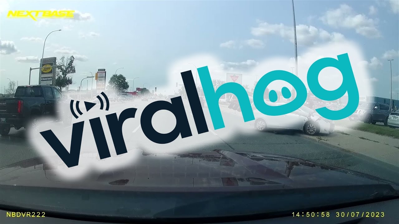 Reckless Driver Takes Out Traffic Light || ViralHog - YouTube