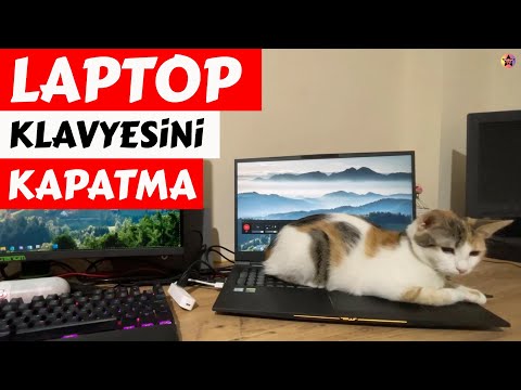 Video: Toshiba dizüstü bilgisayarımda klavye kilidini nasıl kapatabilirim?