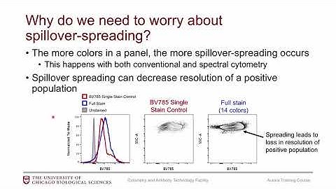 OLD VERSION Aurora Training Course: Part 3 - Panel Design