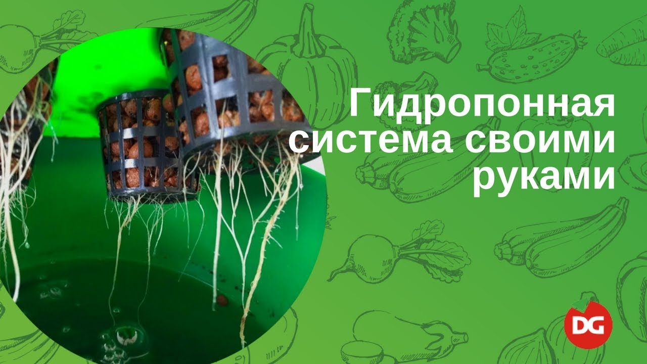 Гидропонная система своими руками фото 145