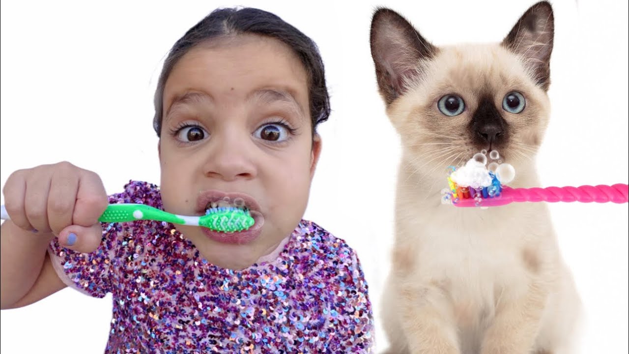 Mon Chat et moi on se brosse les dents😂 Take care of the kitten: