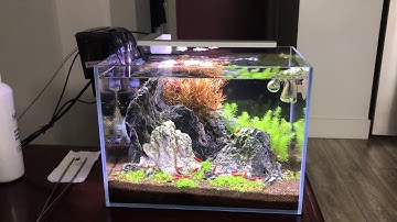 Hồ thủy sinh nuôi tép cảnh mini để bàn chỉ với 850.000 - Thủy Sinh 4U