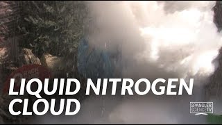 Liquid Nitrogen Cloud