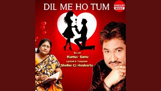 Download Lagu DIL ME HO TUM MP3