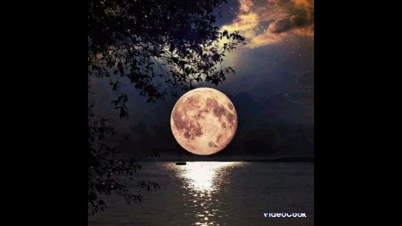 تلاوة خاشعه من سورة ابراهيم للقارئ كمال انيس