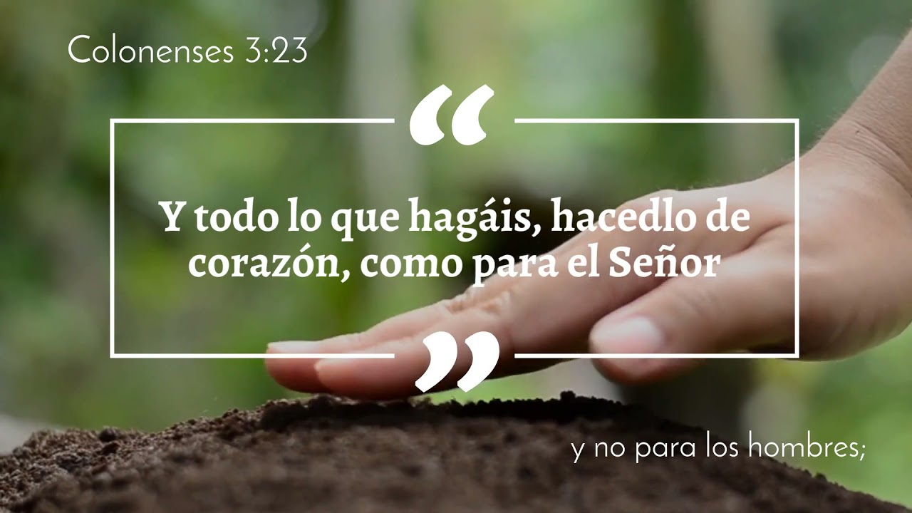 Y todo lo que hagáis, hacedlo de corazón, como para el Señor