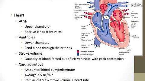 Fundamentals Chapter 39 Oxygenation MP4
