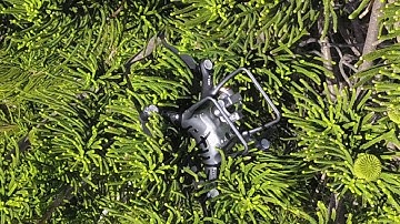 How to rescue a drone from a tree