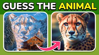 Guess by ILLUSION 🐶🐼🦁 Animals Challenge | Easy, Medium, Hard levels