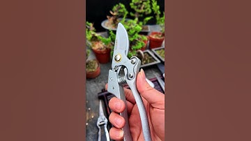 Combo 9 món dụng cụ làm vườn #bonsaishop