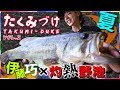 Takuito伊藤巧にクギヅケ！Vish・たくみづけVol.2（夏の野池オカッパリ攻略編）【バス釣り】