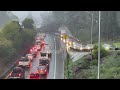 Massive Tree Blocks Highway in Oakland Amid Heavy Rains