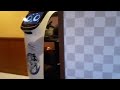 初めて自動式ロボットでお皿返却してみた『ほうらい茶屋』