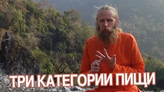 видео Грибы как продукты питания человека