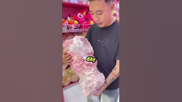 Tưởng là con heo bị làm sao #bemori #gaubong #gấu bông #capybara