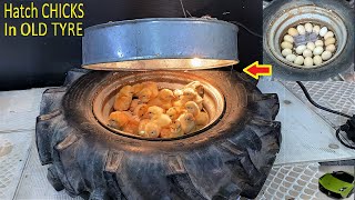 Hatch Chicks in  Old tire - 12v Dc Incubator - Easy egg Incubator