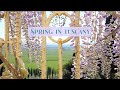 RENOVATING A RUIN: Spring in Tuscany, Italy (Ep 39)