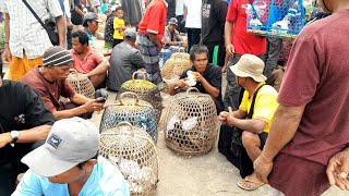 The atmosphere of the Pigeon Market in Kotaraja Village, Lombok