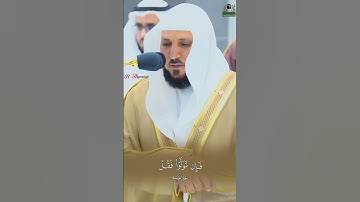 {لقد جاءكم رسول من أنفسكم} ترتيل بديع للشيخ #ماهر_المعيقلي من سورة التوبة #روائع_المعيقلي