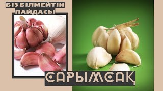 Чеснок. Сарымсақ. Сарымсақтың пайдасы қандай? Польза чеснока.