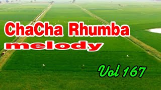 ChaCha - Rhumba melody, Positive music beautify your soul and stress relief, relaxing music vol 167