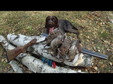 Video: Come Camminare In Una Palude