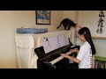 西野カナ『You &amp; Me 』 ピアノ     ~猫と一緒~
