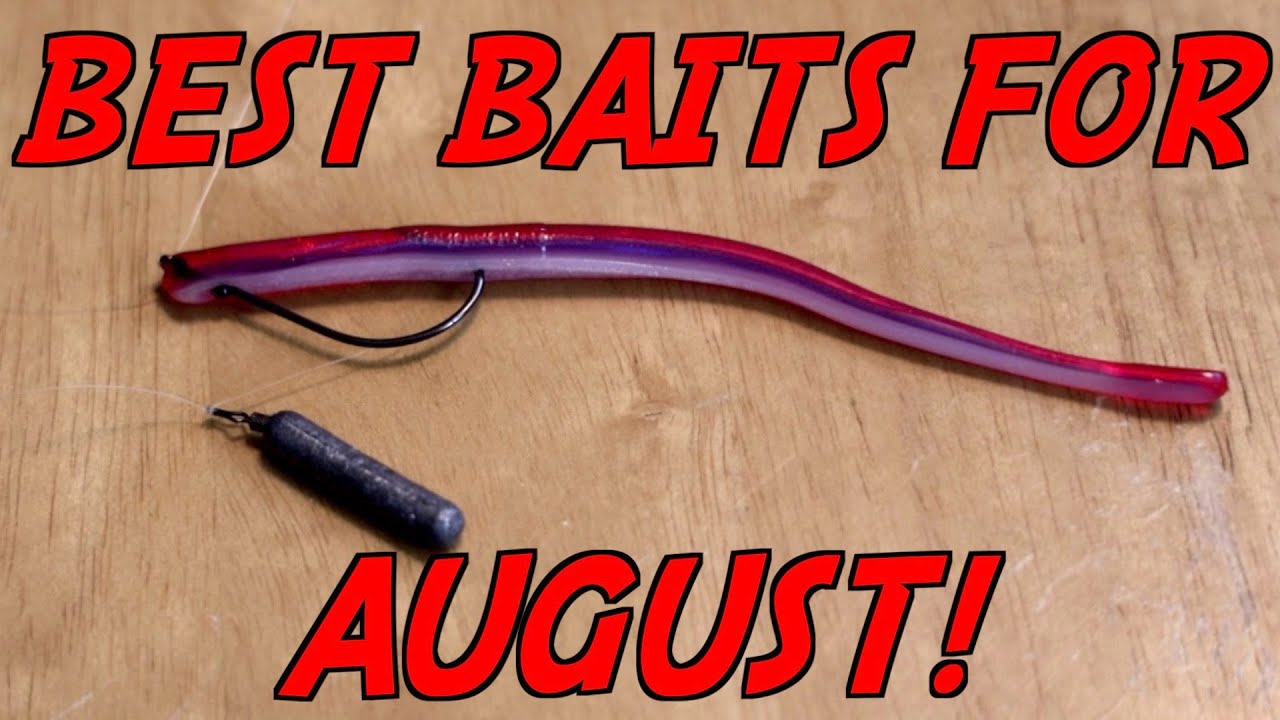 DON’T Go Fishing WITHOUT These 3 Lures In AUGUST!