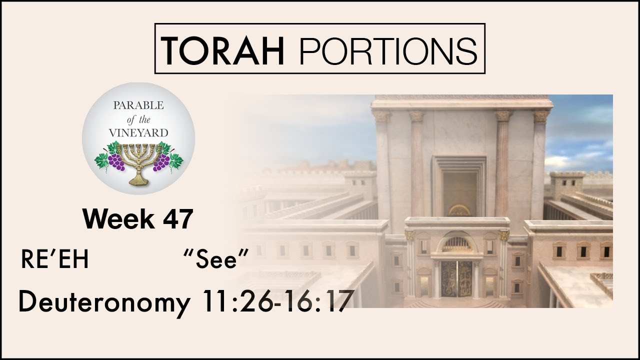 Torah Portions Week 47 RE EH L SEE W Parable Of The Torah portions week 47 re eh l see w parable of the
