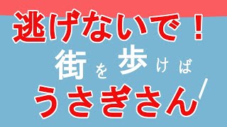 逃げないで!うさぎさん - Don't run away! Rabbit / モデP modeP feat. 初音ミク