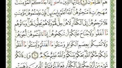 060 سورة الممتحنة ناصر القطامي flv