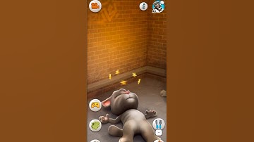 Talking Tom Funny Fails | Cat Videos Compilation! 😂🐱