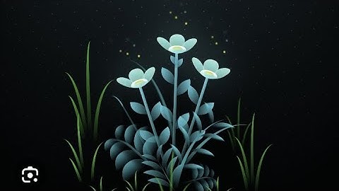 Blooming Flower Animation 🌸 | HTML CSS JS Tutorial