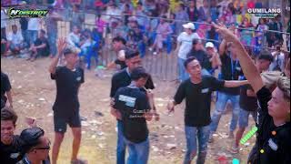 BIMBANG MAYA SABRINA - N'DISTROY - BRANANG BERSATU SEASON 01 - MAYONG JEPARA