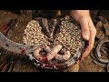 Horse Hoof INFESTED with Maggots 😱 Shocking Removal & Extreme Hoof Cleaning