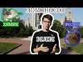 Я у МГУ - несу какой-то бред