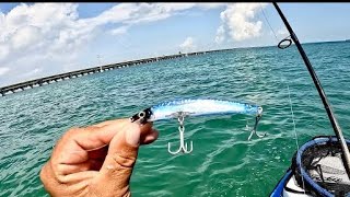 Florida keys kayak fishing-none stop bite using hard plastic lures.