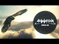 Armağan Oruç - The Hawk