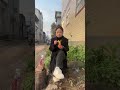 Unbelievable What Happened In The Countryside Hilarious Jokes 