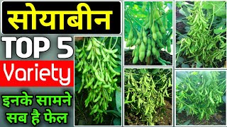 TOP 5 Variety सोयाबीन |Soyabean Seeds| Hybrid