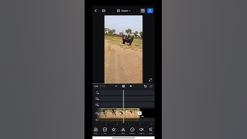 video reverse kaise kare.How to make reverse video #shorts